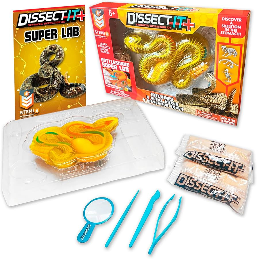 Rattlesnake Super Lab Dissect It Kit for Kids, Synthetic Dissection Kids Science Kit to Learn Bio... | Amazon (US)