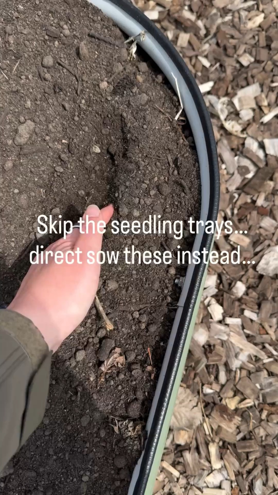 If you’re gardening in Zone 4, this is your window 👇

Cool-season crops LOVE this weather and actually grow better before summer hits. I’m direct sowing all my greens, root crops, and herbs right now while the soil is still cool.

Don’t rush the warm-season stuff yet—those go in later this month once the soil warms up.

Save this so you don’t miss your planting window 🌱

#zone4gardening #minnesotagardening #directsow #springgarden #kitchengarden