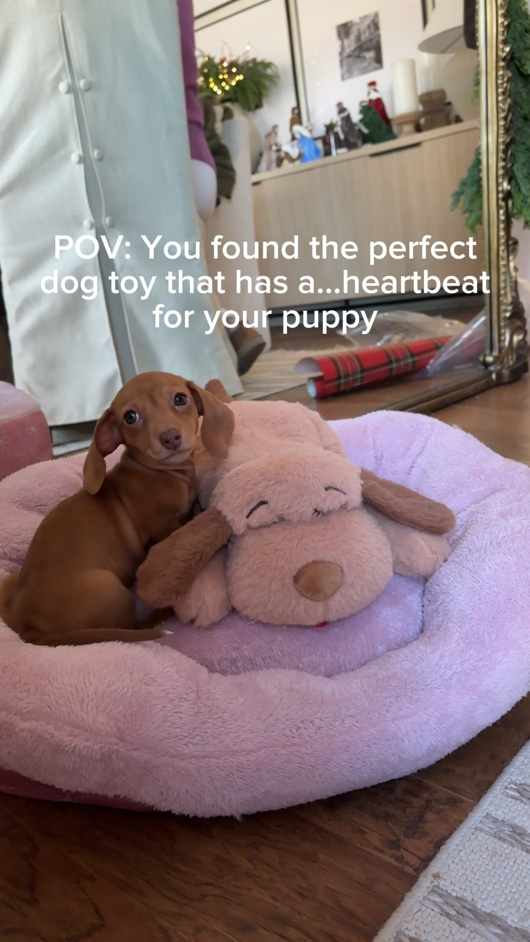 The perfect toy for your puppy, this cutie has a heartbeat that helps calm them in their crate and reduce anxiety!!

#LTKFamily #LTKSeasonal #LTKFindsUnder50