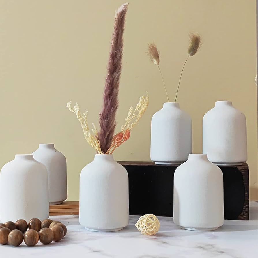 Small White Ceramic Vases Set 6 for Decor, Boho Bud Vases for Dry Flower, 4.1''H x 3''W White Cer... | Amazon (US)