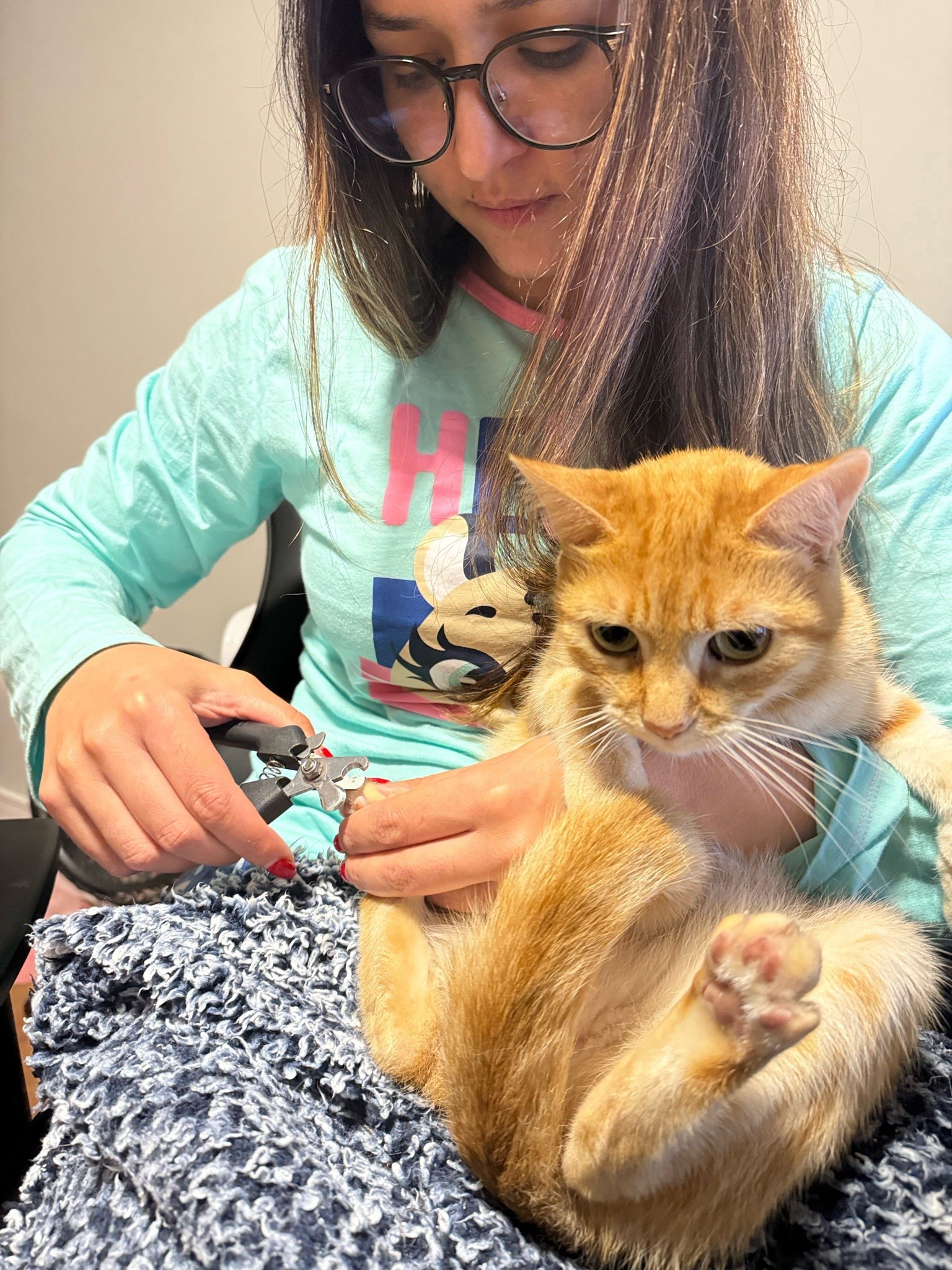 Mamãe de pet: já cortou a unha do seu bebê?
Por aqui a cada 20 dias faço o corte. Sem pre cuidado para não pegar a raiz e não deixar com pontos afiadas. 

#LTKbrasil
