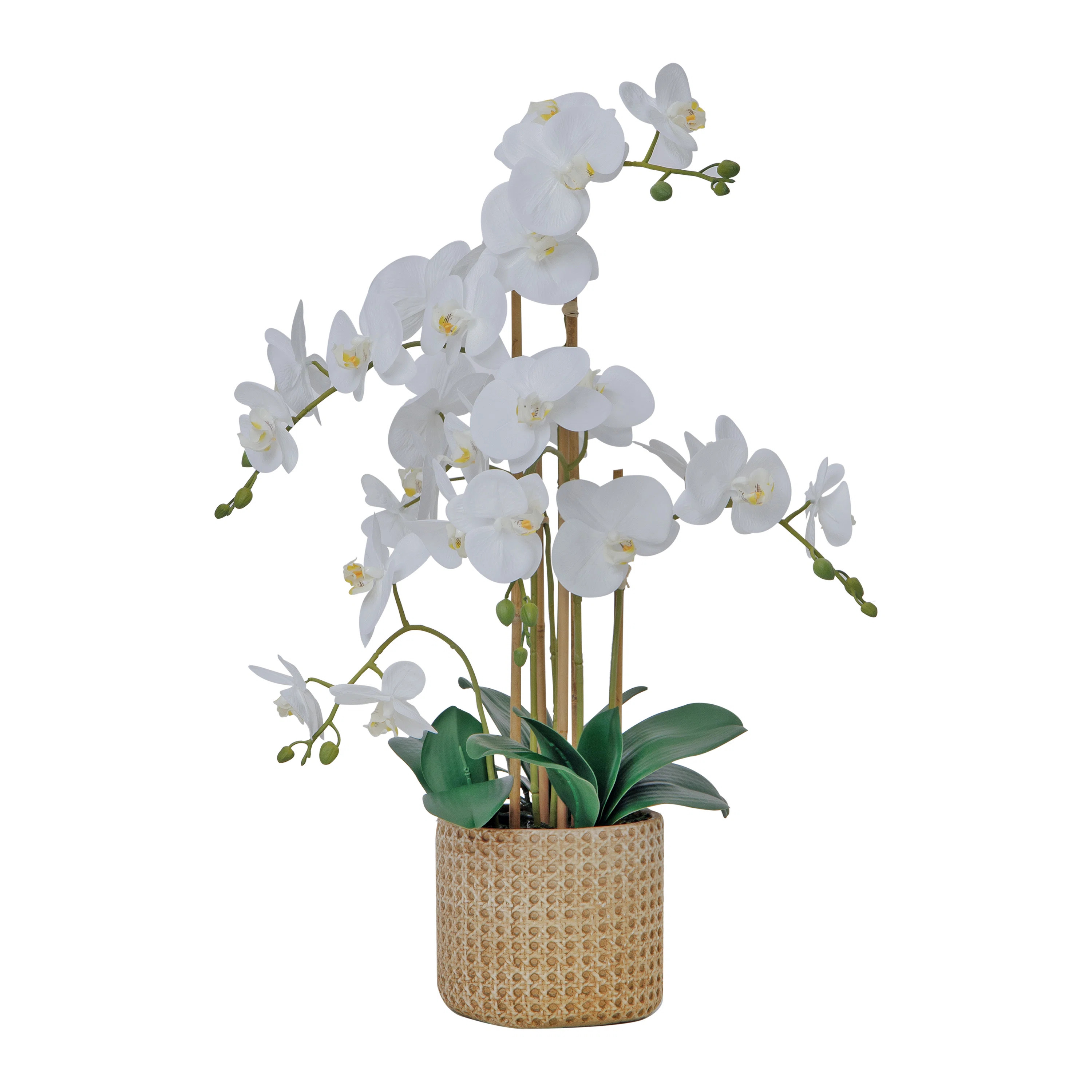 29" White Orchid Arrangement in a Tan Ceramic Planter | Real Touch White Moth Phalaenopsis Orchid... | Wayfair North America