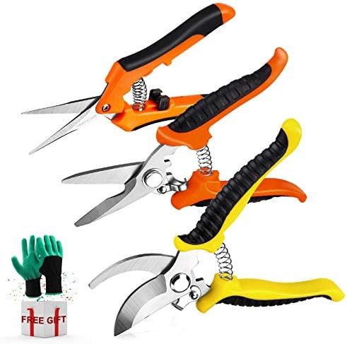 3 Pack Garden Pruning Shears Stainless Steel Blades Handheld Pruners Set with Gardening Gloves | Amazon (US)