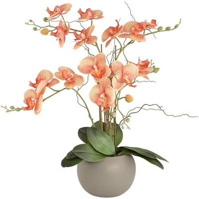 Studio 55D Orange Orchid 22 1/2" High Faux Floral in Gray Pot | Target