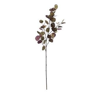 Green & Purple Eucalyptus Stem by Ashland® | Michaels Stores