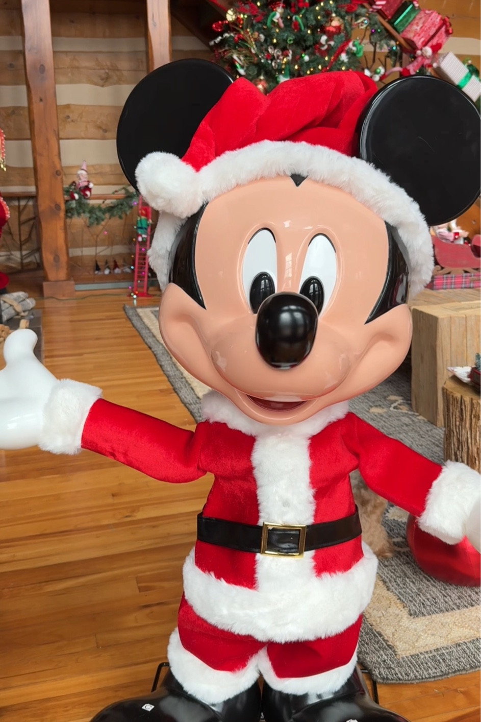 Mickey and Minnie Christmas animatronics 

#LTKHoliday #LTKSeasonal