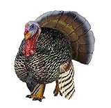 Safari Ltd Safari Farm Turkey (Male) | Amazon (US)