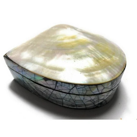 Seashell Keepsake Box Medium - Gold - Coastal Decor #sur28005 | Walmart (US)