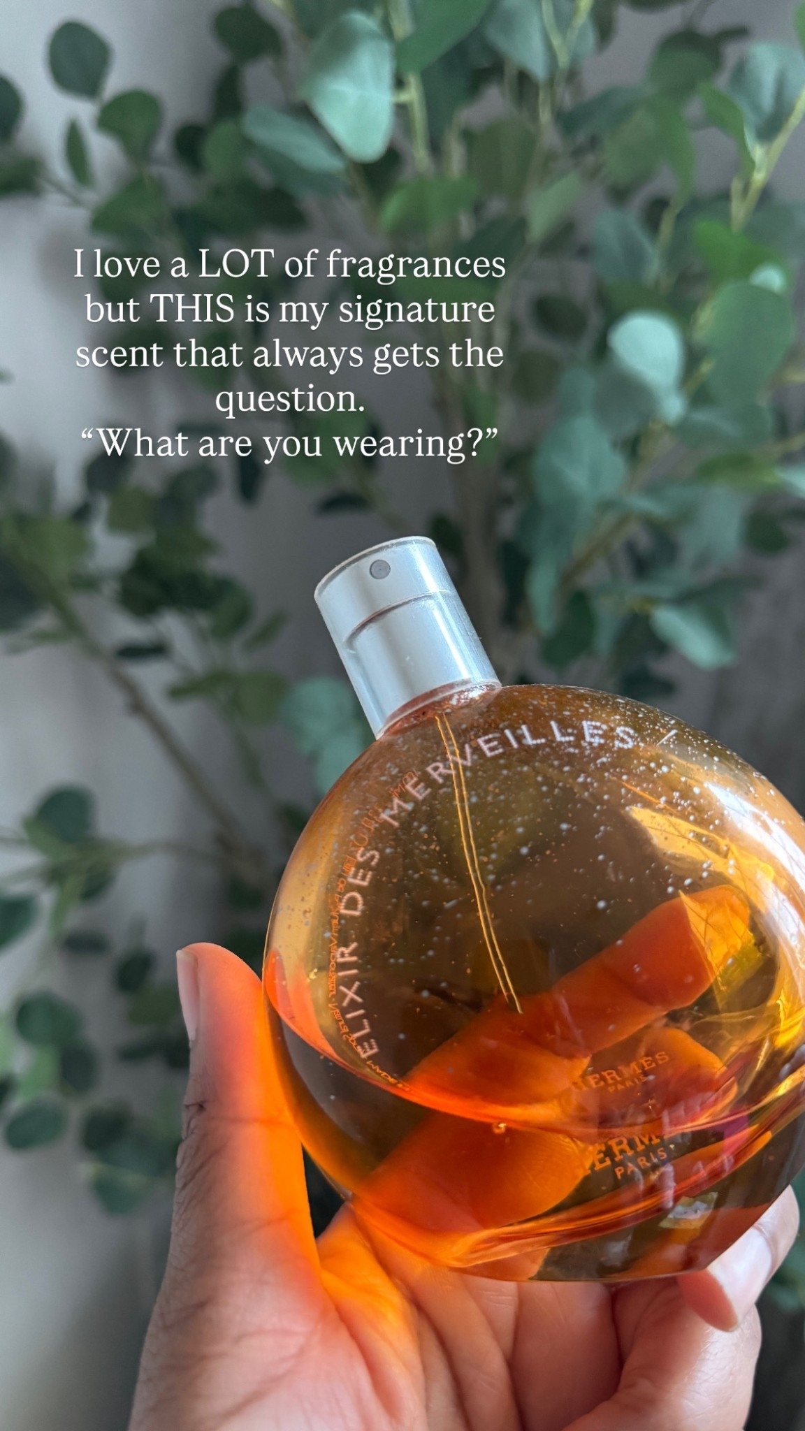 I always get compliments when I wear this fragrance 

#LTKBeauty #LTKOver40 #LTKdayinmylife