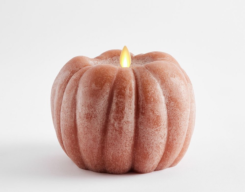 Pottery Barn fall decor. Extra 15% off clearance with code EXTRA

#LTKHoliday #LTKsalealert #LTKSeasonal