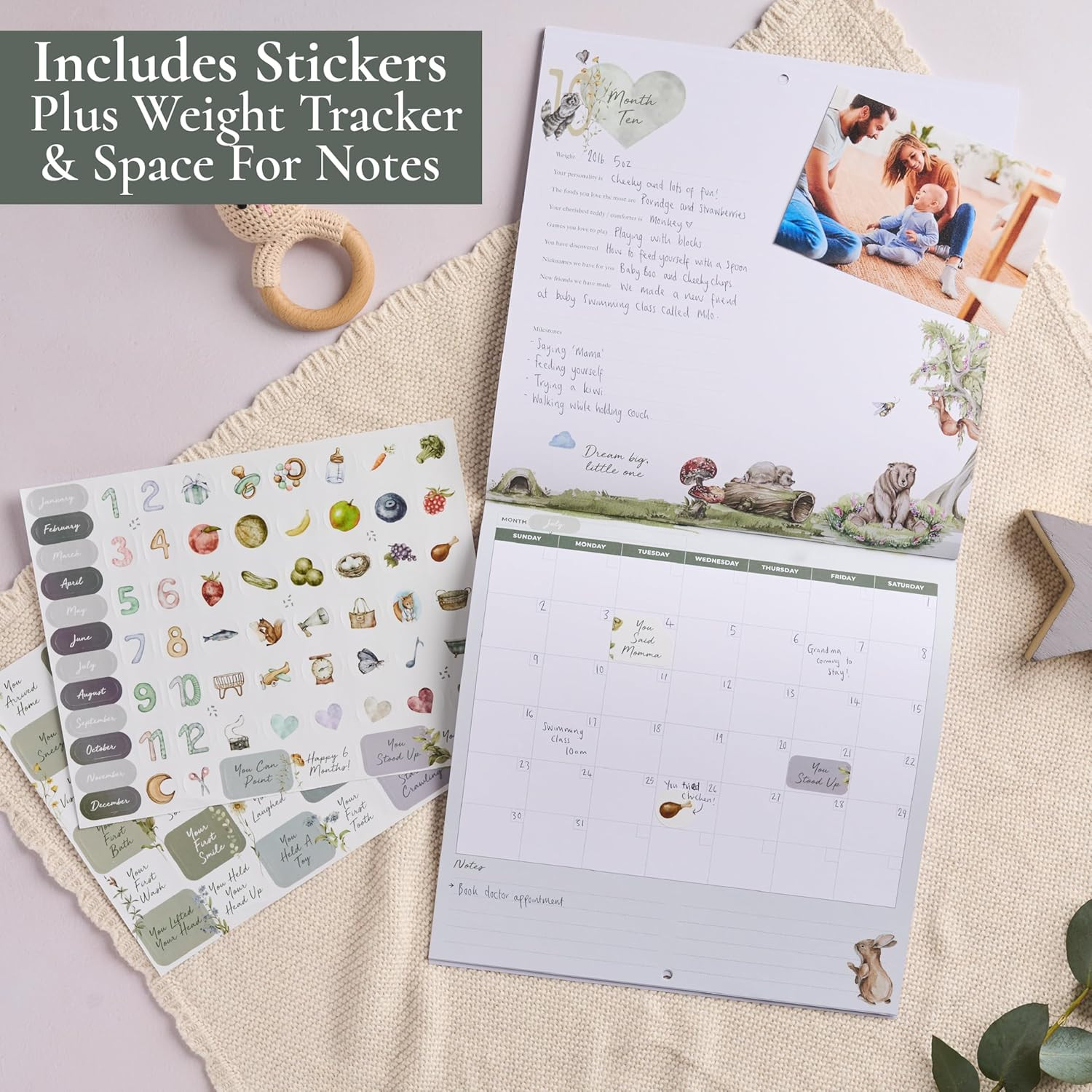 Baby's First Year Memory & 1st Year Calendar with 100 Stickers | Baby's First Year Calendar With ... | Amazon (US)