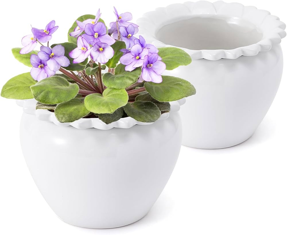 2pcs 6.5 * 4.6 * 4 inch White African Violet Flower Pot Ceramic Self Watering Flower Pot Simple P... | Amazon (US)