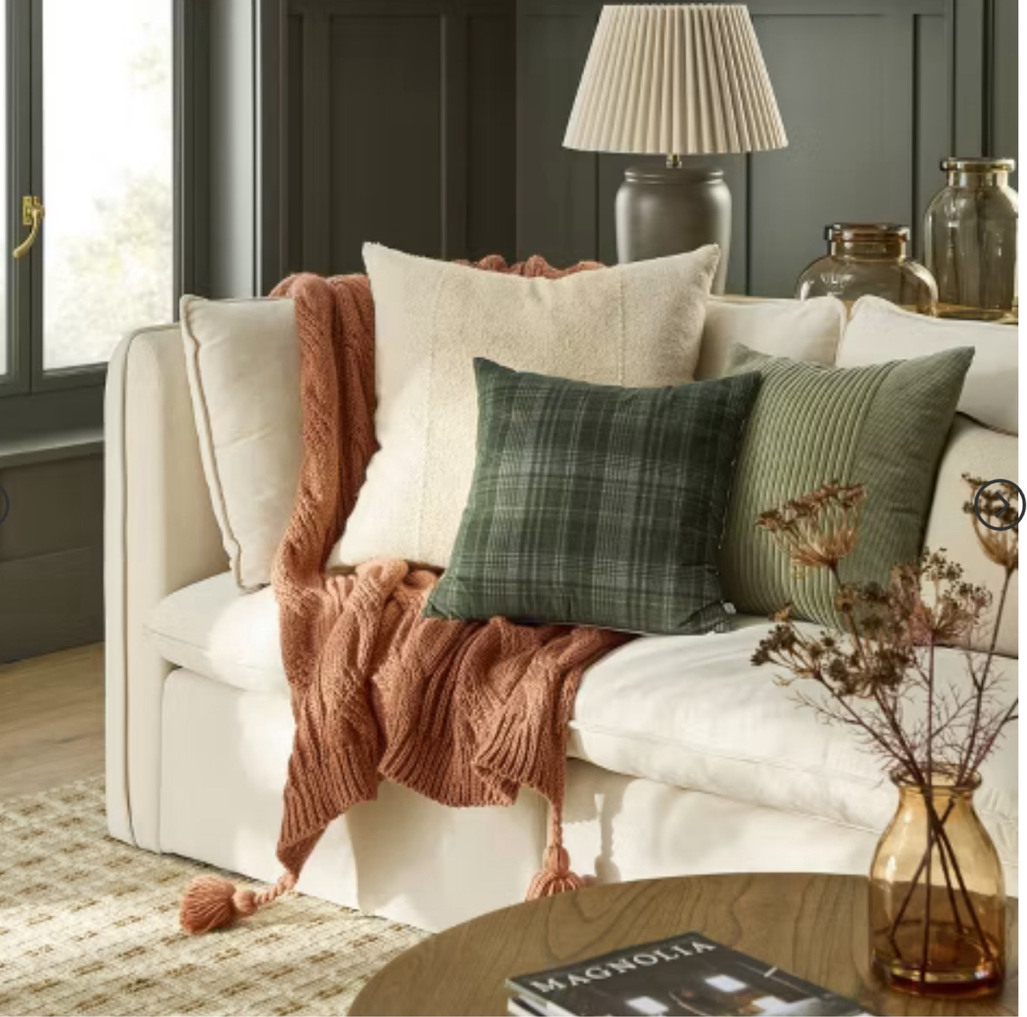 Cozy blankets 

#LTKSeasonal #LTKFallSale