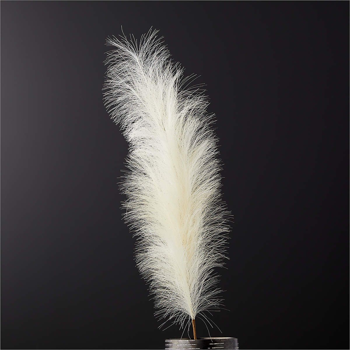 Faux Pampas Grass Taupe Stem 39" + Reviews | CB2 | CB2