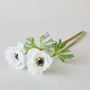 EcoFaux Anemone Pair | Bloomist