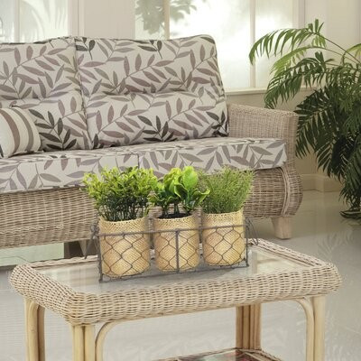 3 Piece Farmhouse Herb and Succulent Plant in Basket Set | Wayfair North America