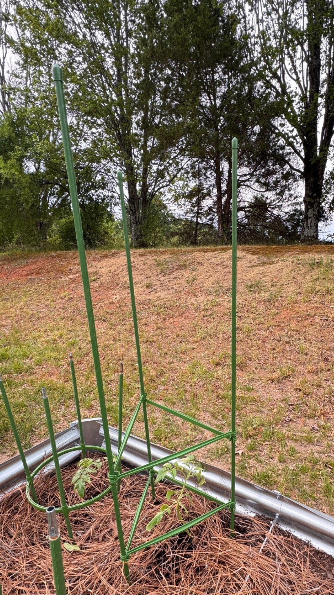 Got some more cages to hold my vegetable plants.
#gardening

#LTKHome #LTKSeasonal