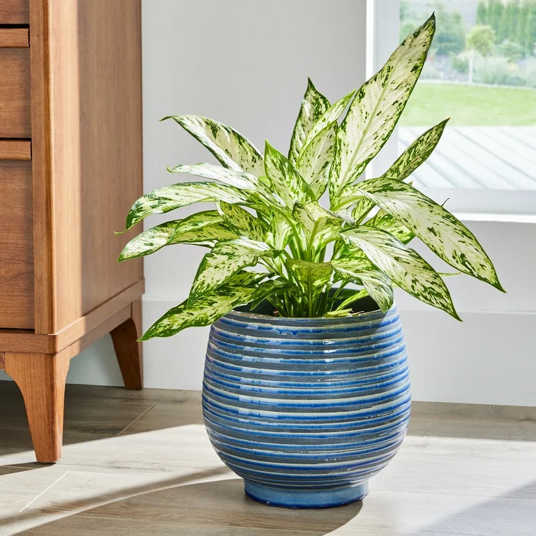 Better Homes & Gardens 10 inch Ceramic Lynlee Planter - Walmart.com | Walmart (US)