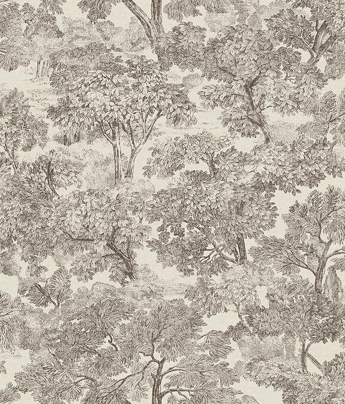 Chesapeake 3112-002719 Blyth Brown Toile Wallpaper Blyth Toile Wallpaper | Amazon (US)