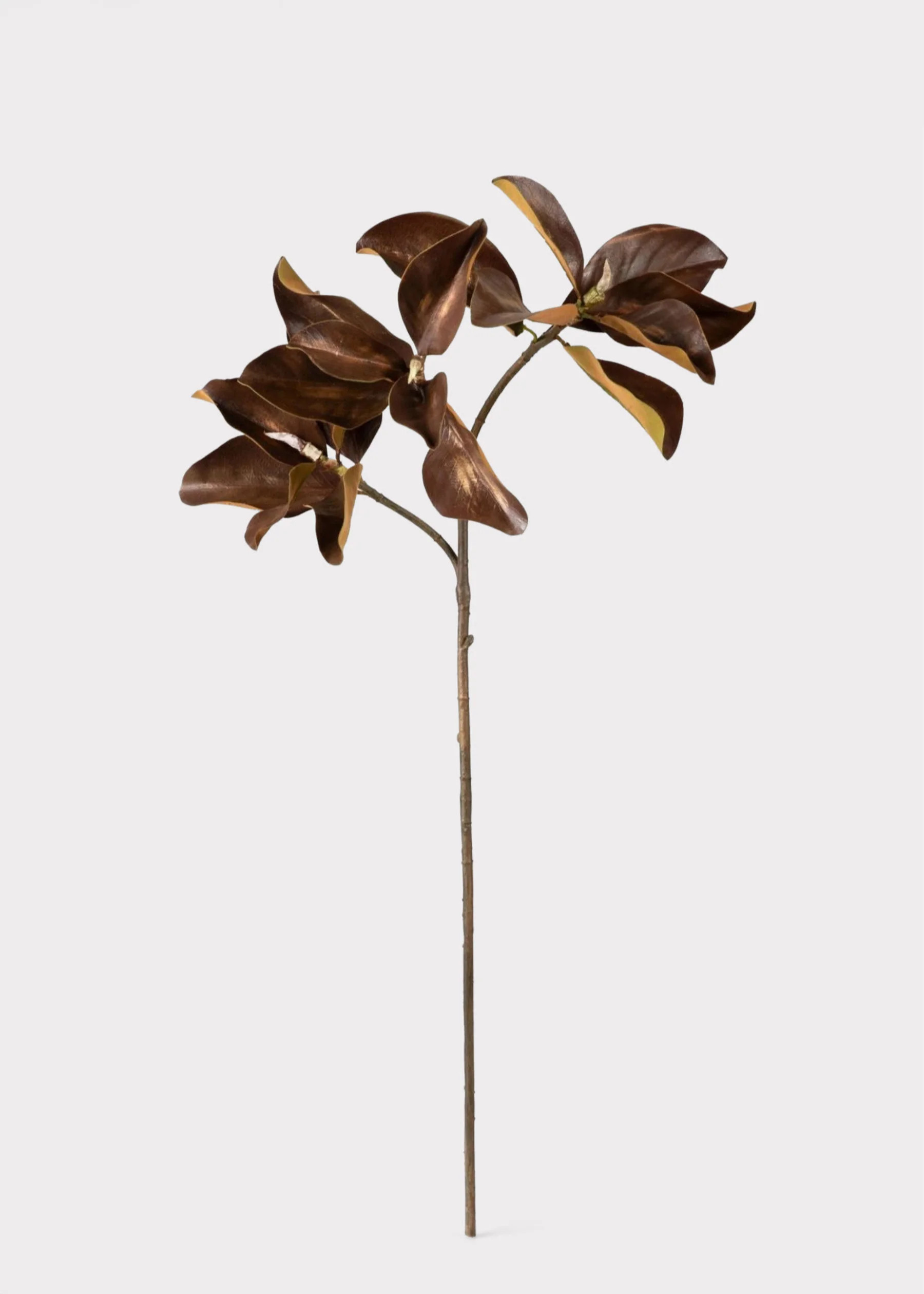 Autumn Brown Magnolia Leaf Branch | Faux Fall Branches at Afloral.com | Afloral