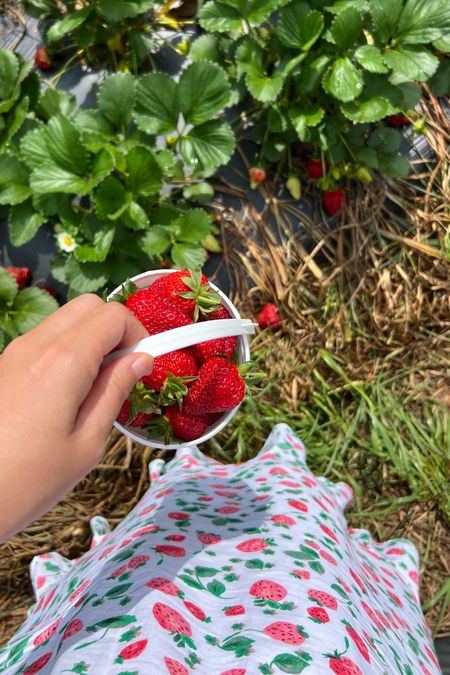 Wore my new strawberry skirt to go strawberry picking this weekend! It’s on super sale too!

#LTKsalealert #LTKSeasonal