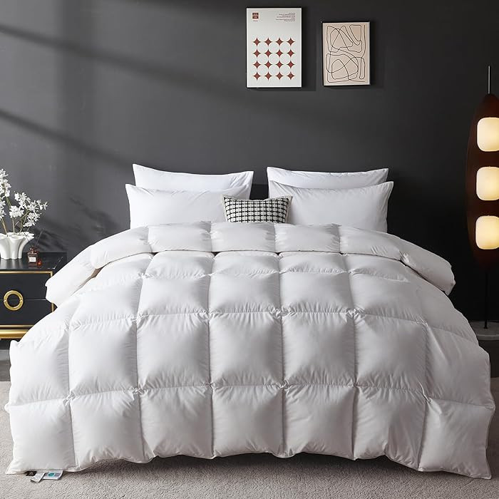 L LOVSOUL Goose Feather Down Fiber Comforter King Size, 100% Organic Cotton Fabric Duvet Insert,1... | Amazon (US)