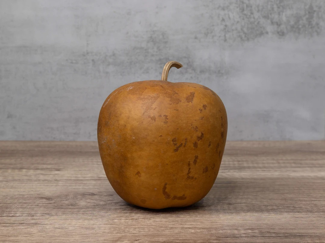 Apple Gourd 6 Diameter, Dried Gourd for Crafts and Decorating - Etsy | Etsy (US)