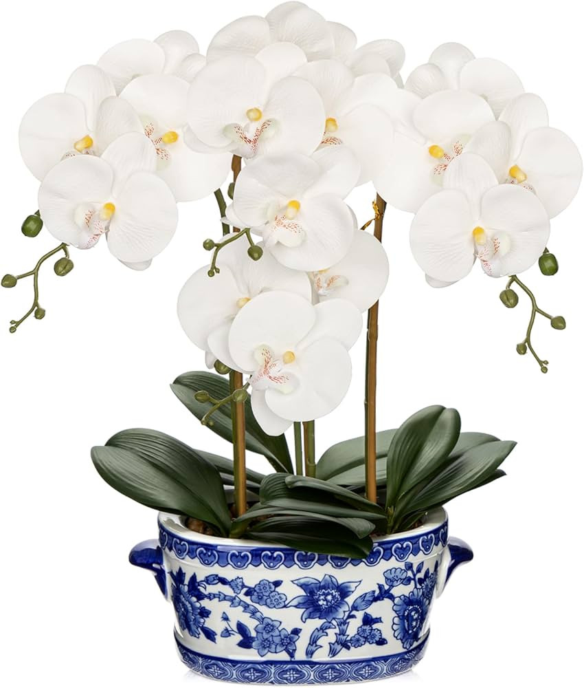 Briful Orchid Artificial Flowers in Blue and White Porcelain Pot 19.7" White Faux Silk Orchid Arr... | Amazon (US)