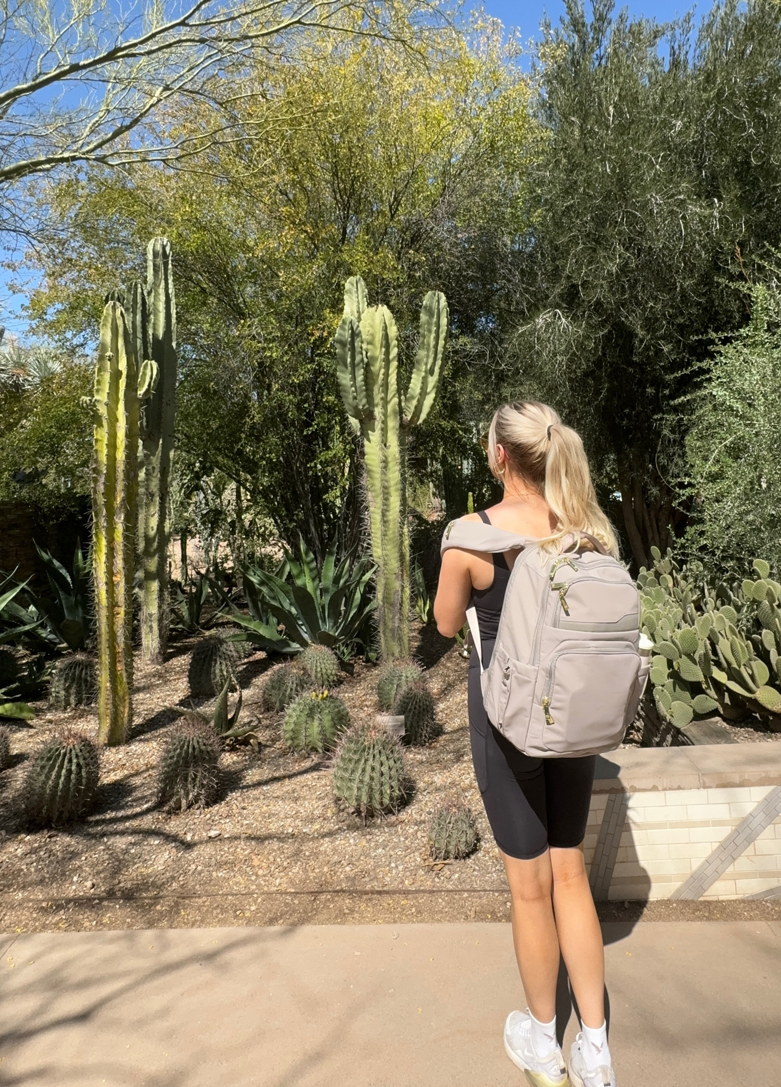 This travel backpack is perfect for a solo trip! #target #travel #hike #backpack #arizona

#LTKtravel #LTKActive #LTKfitness