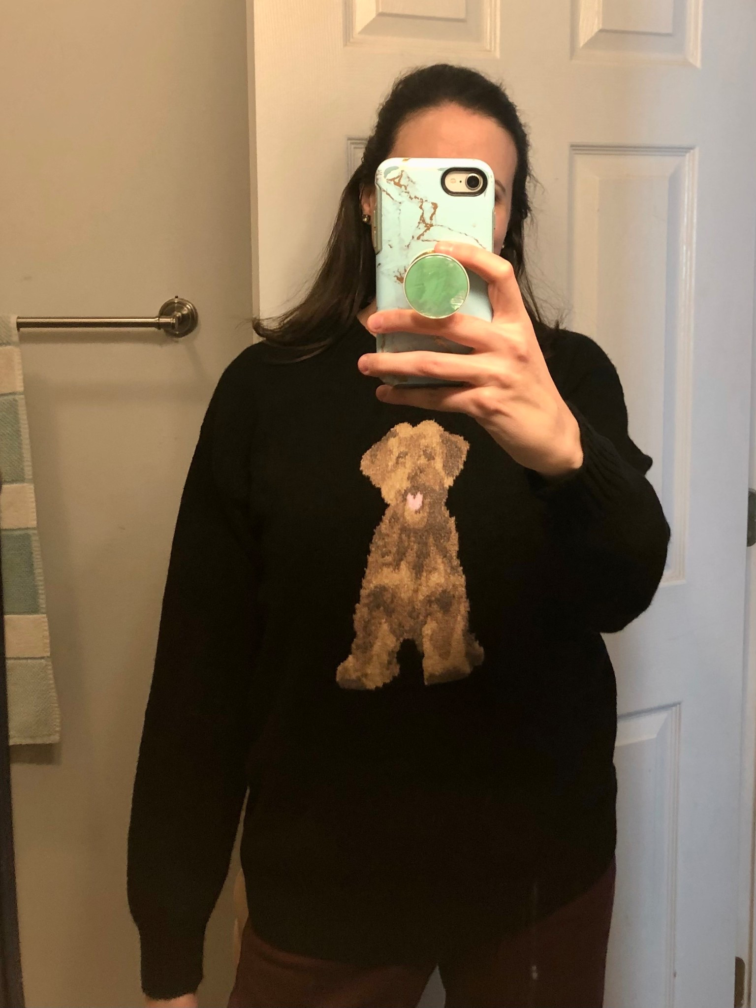 The cutest dog sweater 



#LTKSaleAlert #LTKSeasonal #LTKFindsUnder50