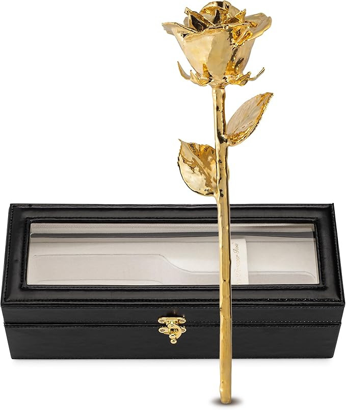 Forever Rose 24K Gold Dipped Real Rose – Handmade, Long-Lasting Preserved Flower in Leather Cas... | Amazon (US)