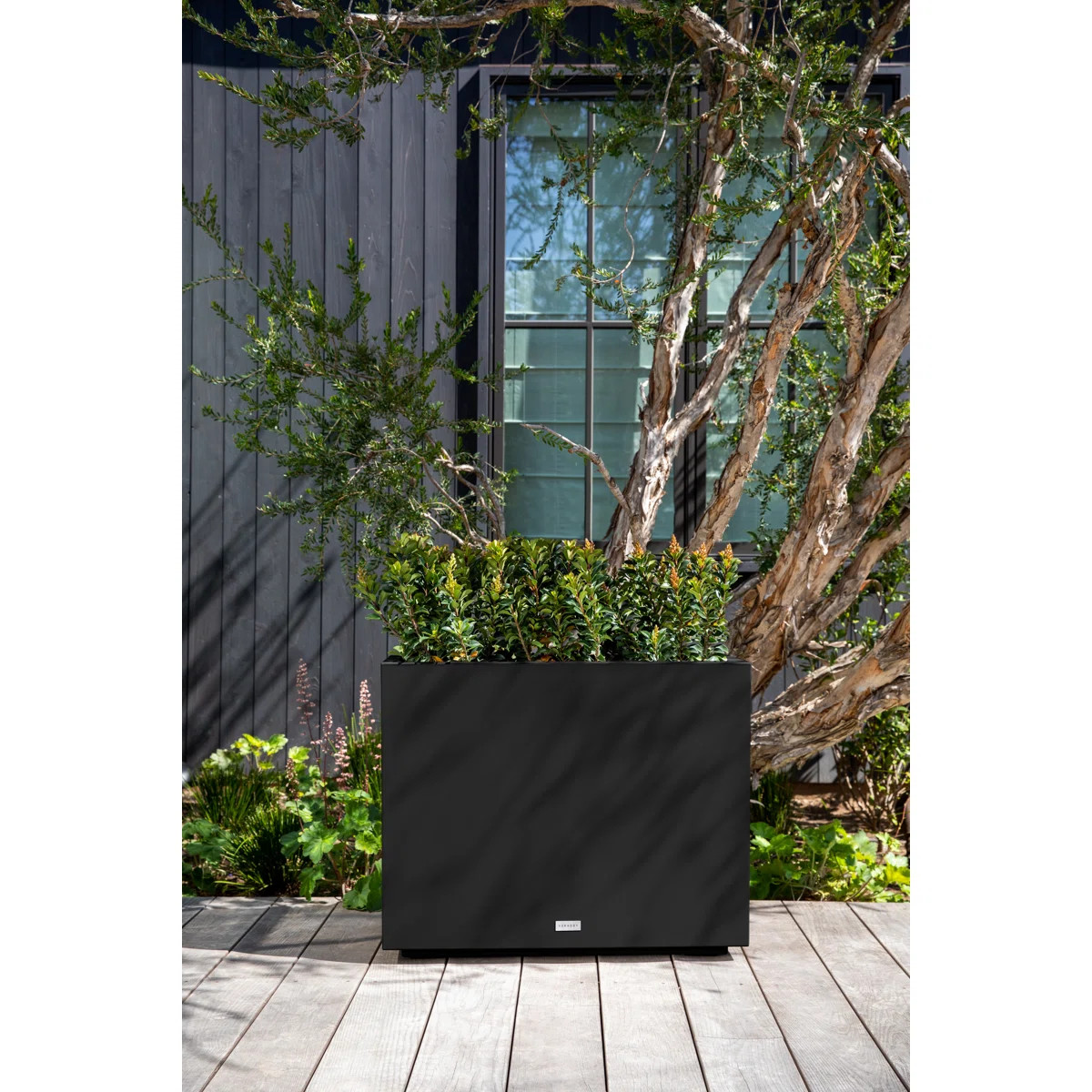 30” H x 38” W x 10” D | Wayfair North America