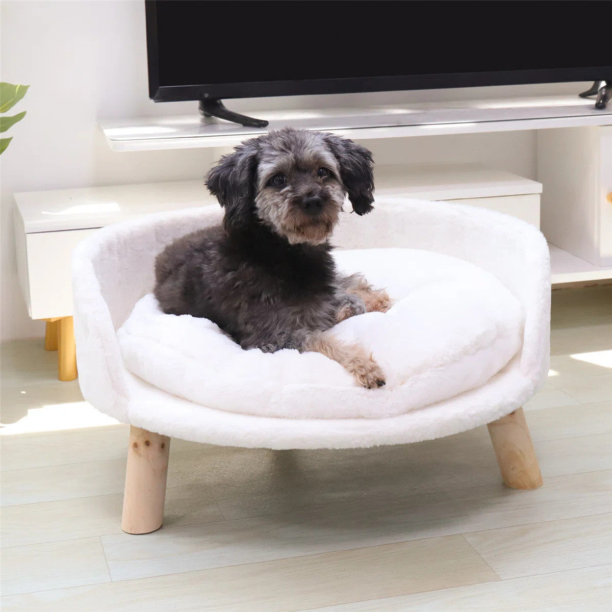 Tucker Murphy Pet™ Nott Dog Sofa Cat Sofa Bed with Removeable Padded Cushion & Reviews | Wayfai... | Wayfair North America