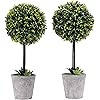 MyGift Artificial Boxwood Topiary Tree in Modern Gray Pulp Planter, Set of 2 | Amazon (US)