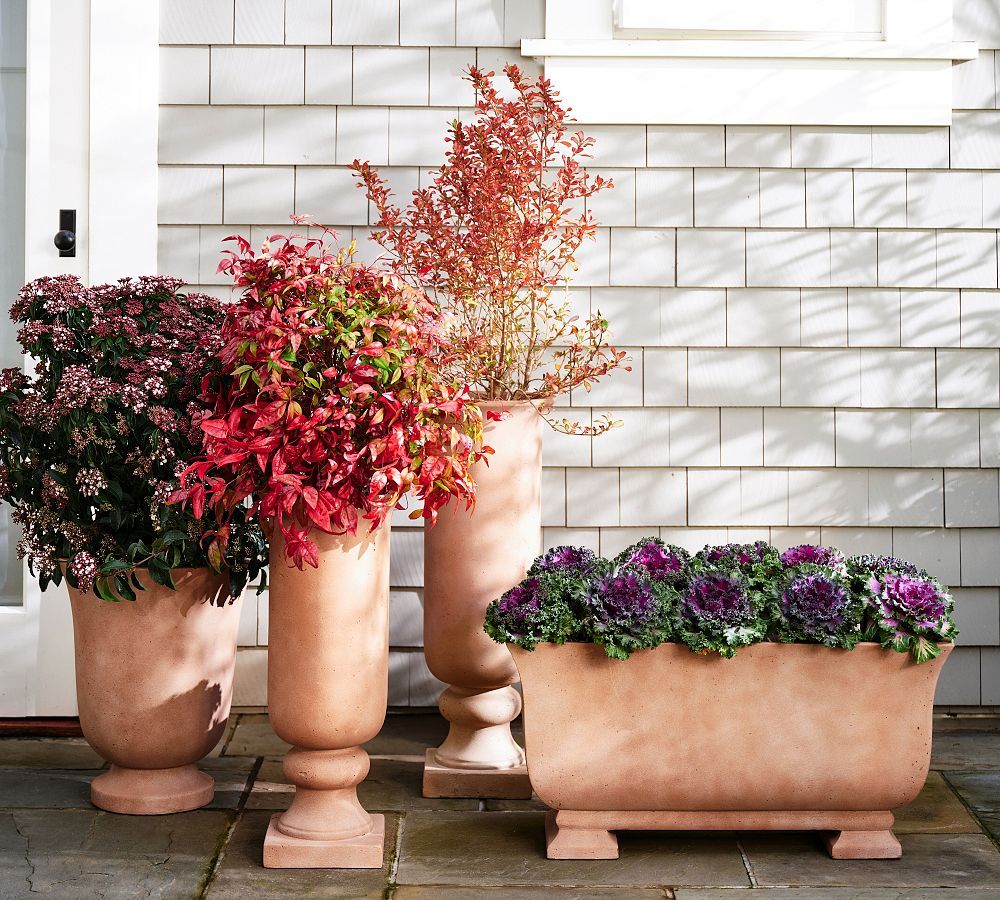 Herron Tuscan Planter | Pottery Barn (US)