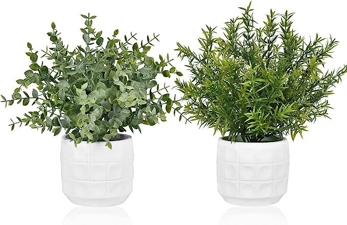 Hamore 2 Pack Potted Artificial Eucalyptus Plants Small Artificial Potted Plants Faux Plastic Euc... | Amazon (US)