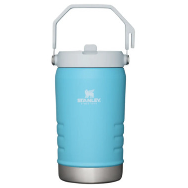 Stanley The IceFlow Flip Straw Jug Pool | Well.ca