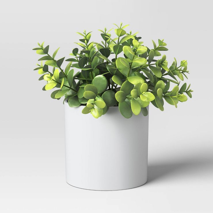 Boxwood Artificial Plant - Threshold™ | Target