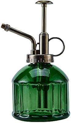 Ebristar Glass Plant Mister Spray Bottle, 6.5" Tall Vintage Plant Spritzer Watering Can, Succulen... | Amazon (US)