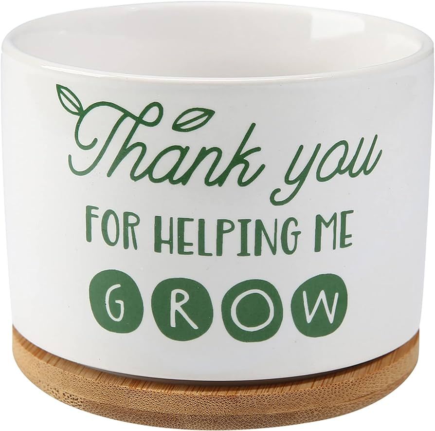 DOMG Teachers Appreciation Gift, Ceramic Succulent Plant Pot Small Flower Planter for Indoor Outd... | Amazon (US)