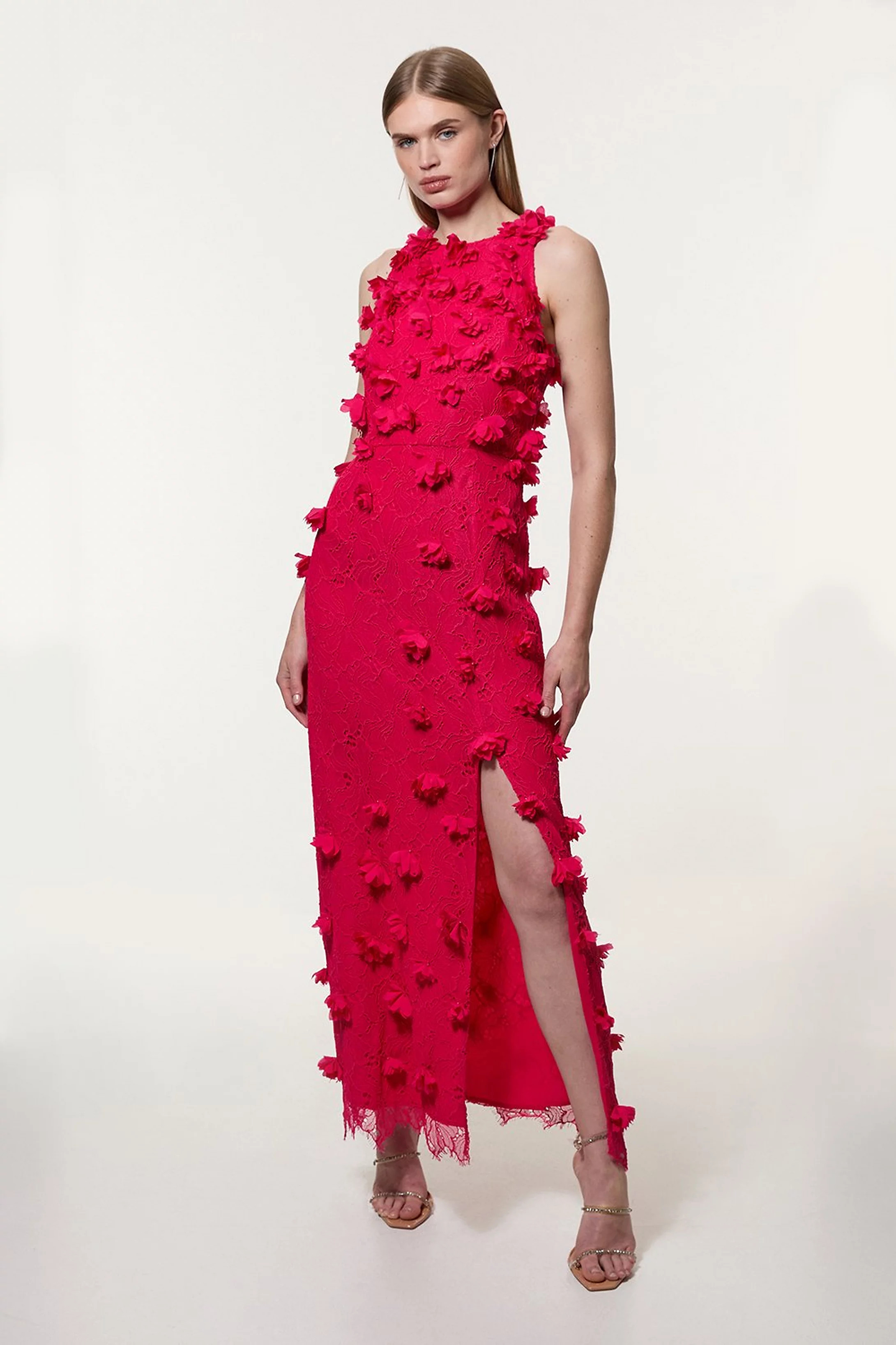 Floral Applique On Lace Woven Midi Dress | Karen Millen US