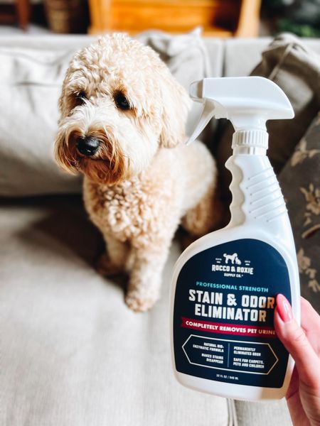 This stuff works great and on sale today! 
Fashionablylatemom 
Rocco & Roxie Supply Co. Stain & Odor Eliminator for Strong Odor, 32oz Enzyme Pet Odor Eliminator for Home, Carpet Stain Remover for Cats & Dog Pee, Enzymatic Cat Urine Destroyer, Carpet Cleaner Spray
Certified Gentle And Safe: Chlorine free and color safe. Safe to use around pets and children. No hazardous propellants, no residue left behind. So gentle it’s been Certified Safe for all carpets, earning the Seal of Approval by the trusted Carpet and Rug Institute (cri)
Eliminates Stains, Odors And Residue: If it’s gross, it’s gone. Not just the stain, but the stink. From stinky yellow pet urine and feces to vomit and other organic spills, our professional strength formula tackles them all.

#LTKhome #LTKsalealert