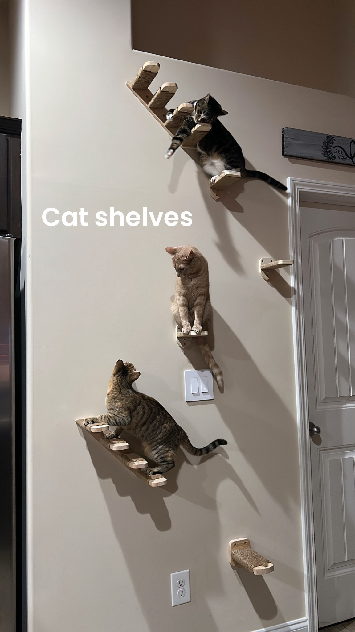 Cat shelves are a great way to keep your cat mobile and active. They not only improve their motor skills, they also improve balance and help to keep them agile and healthy. I have yet to meet a cat that didn’t love them! #LTKpets #LTKcats #LTKpet #LTKpetcare 

#LTKHome