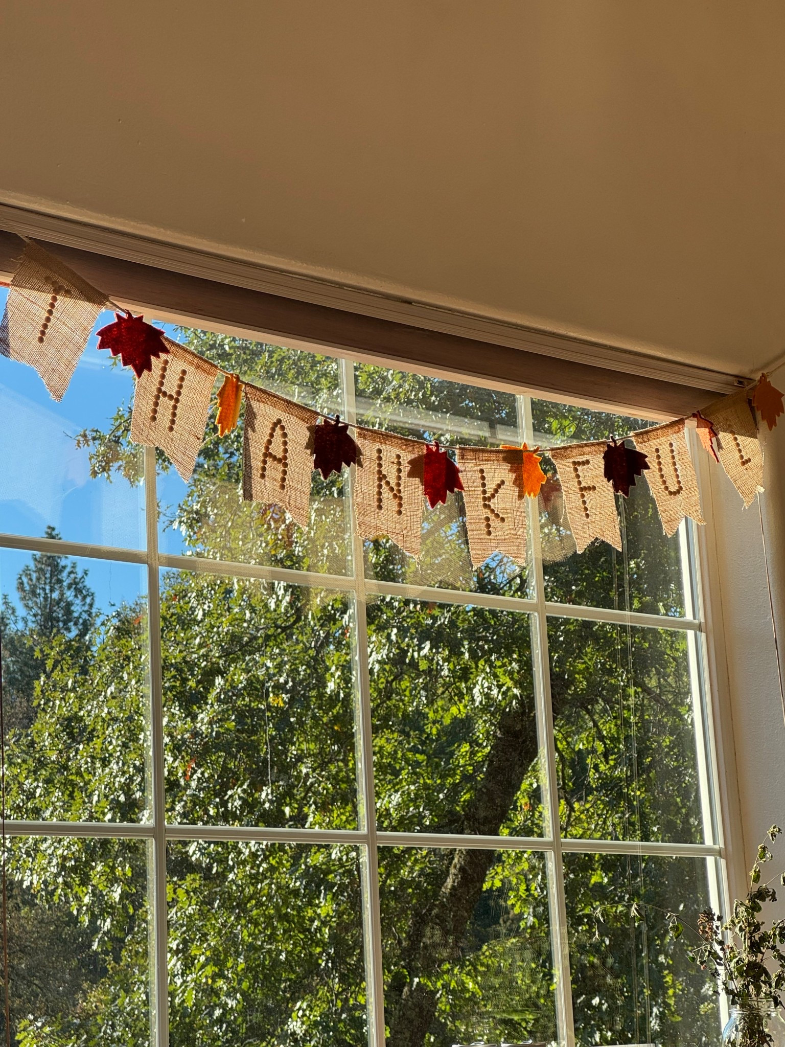 Decorating for fall >>> not Halloween

Gratitude and thankful banners are too cute not to hang 🍂🍁

#LTKHome #LTKSeasonal #LTKFamily