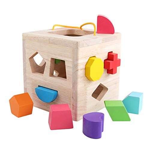 GEMEM Shape Sorter Toy My First Wooden 12 Building Blocks Geometry Learning Matching Sorting Gifts D | Amazon (US)