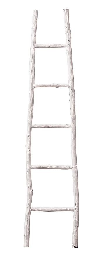 Creative Co-op Decorative Painter Wood Blanket Ladder, White | Amazon (US)