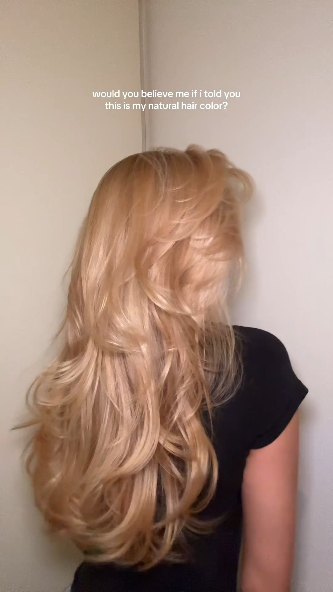 Haircut and Blowout sharing all my fav products for my hair ✨💗 

#LTKStyleTip #LTKFindsUnder50 #LTKBeauty