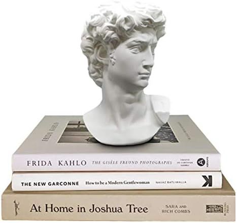 Greek Statue of David - Head Bust Statue for Roman Home Decor - Resin Sculpture | Amazon (US)