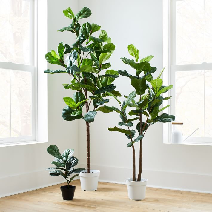 Faux Fiddle Leaf Floor Size Plant | West Elm (US)