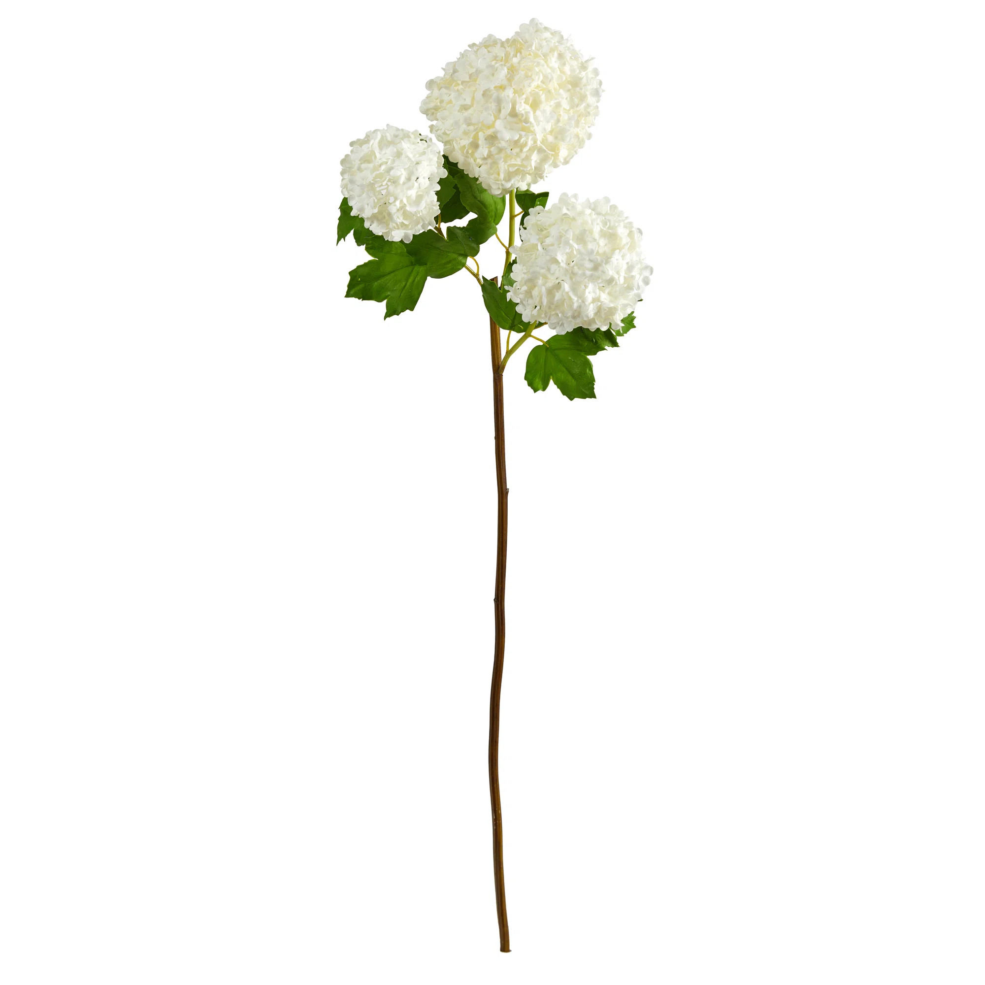 Hydrangea Arrangement (Set of 2) | Wayfair North America